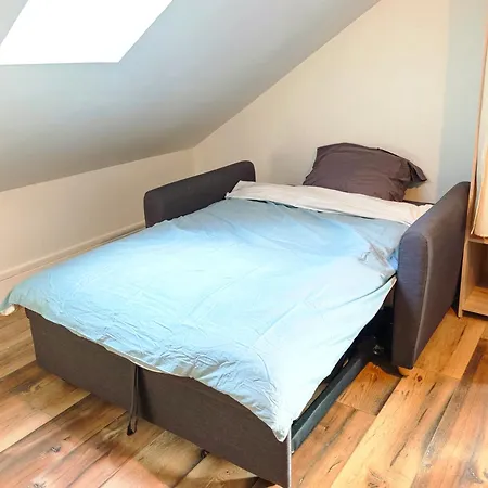 Le Cerf - Parking Privatif - 5mn A Pied Du * Aix-les-Bains