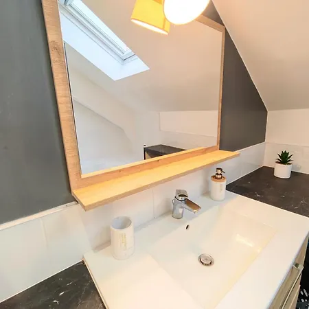 Le Cerf - Parking Privatif - 5mn A Pied Du Apartment Aix-les-Bains