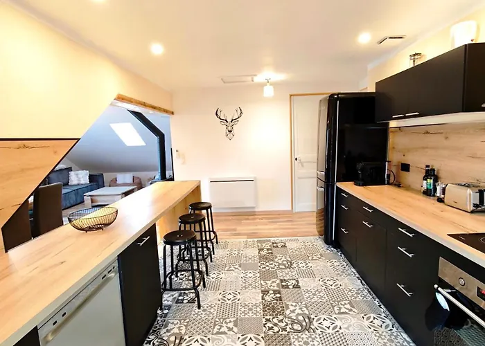 Le Cerf - Parking Privatif - 5mn A Pied Du Apartment Aix-les-Bains