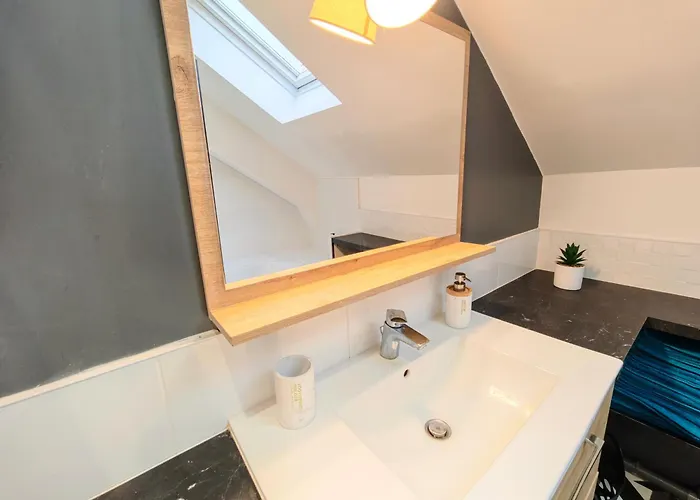 Le Cerf - Parking Privatif - 5mn A Pied Du Apartment Aix-les-Bains