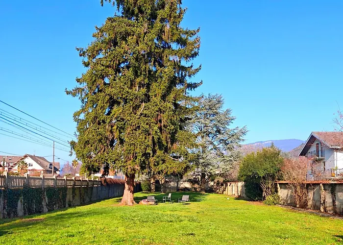 Apartment Le Cerf - Parking Privatif - 5mn A Pied Du